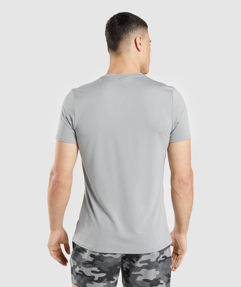 Men's Gymshark Arrival Graphic T-Shirts Light Grey | CA ND3580